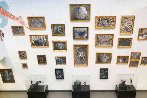 Invisible Portraits_0001 (6)